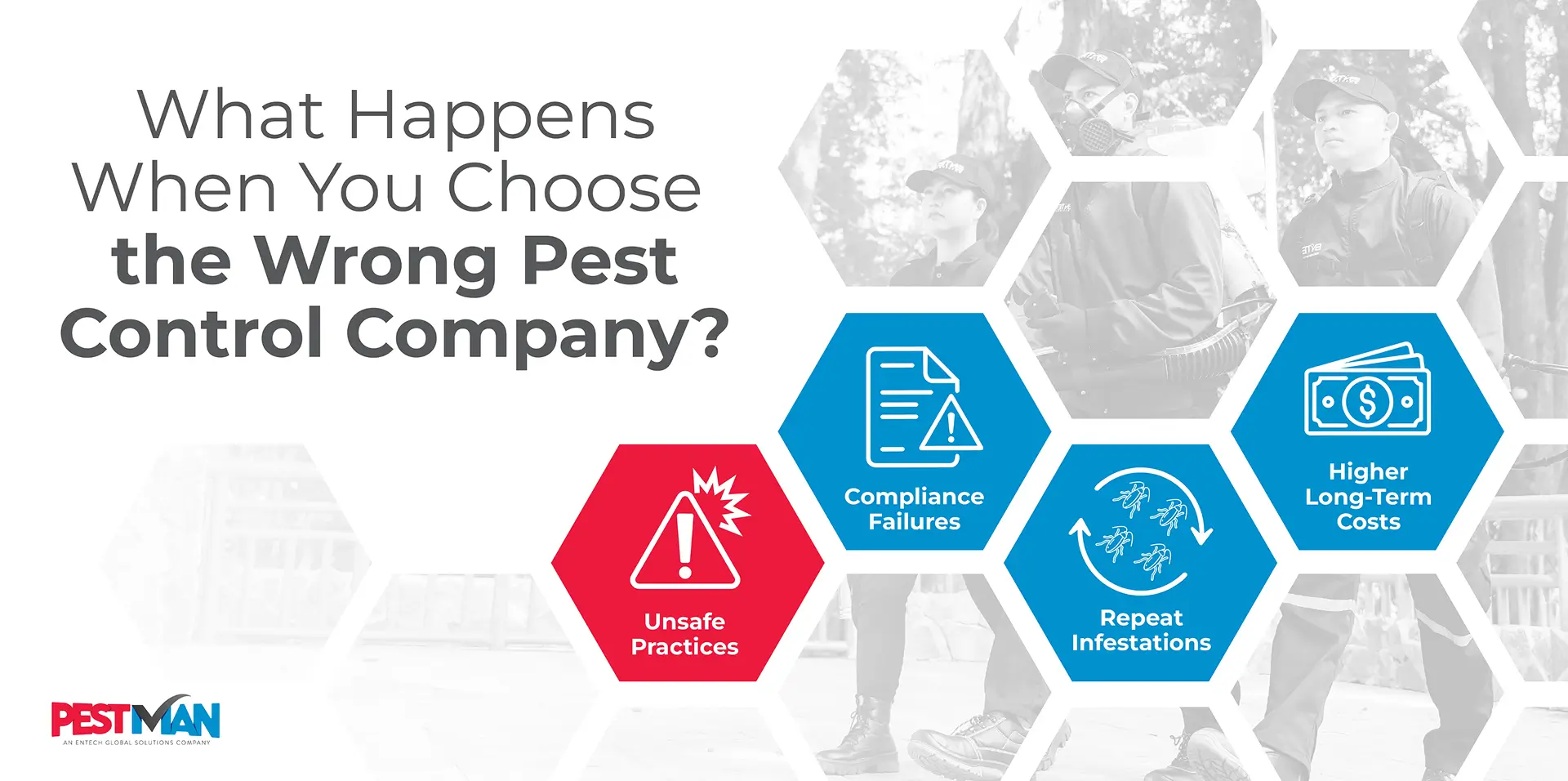 An illustration that summarizes what will happen if you choose the wrong pest control provider.